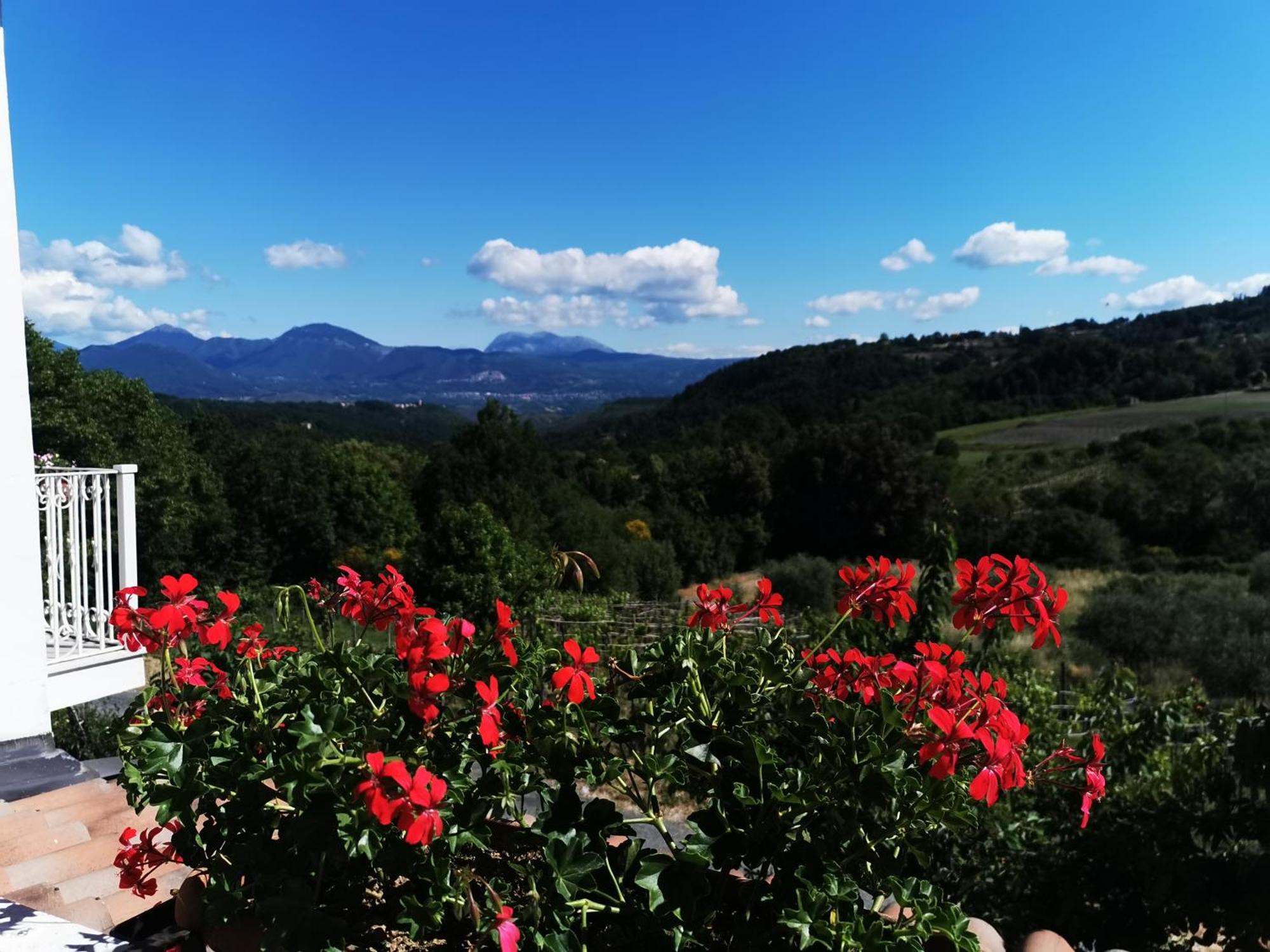 Agriturismo Donna Bianca Mormanno Extérieur photo