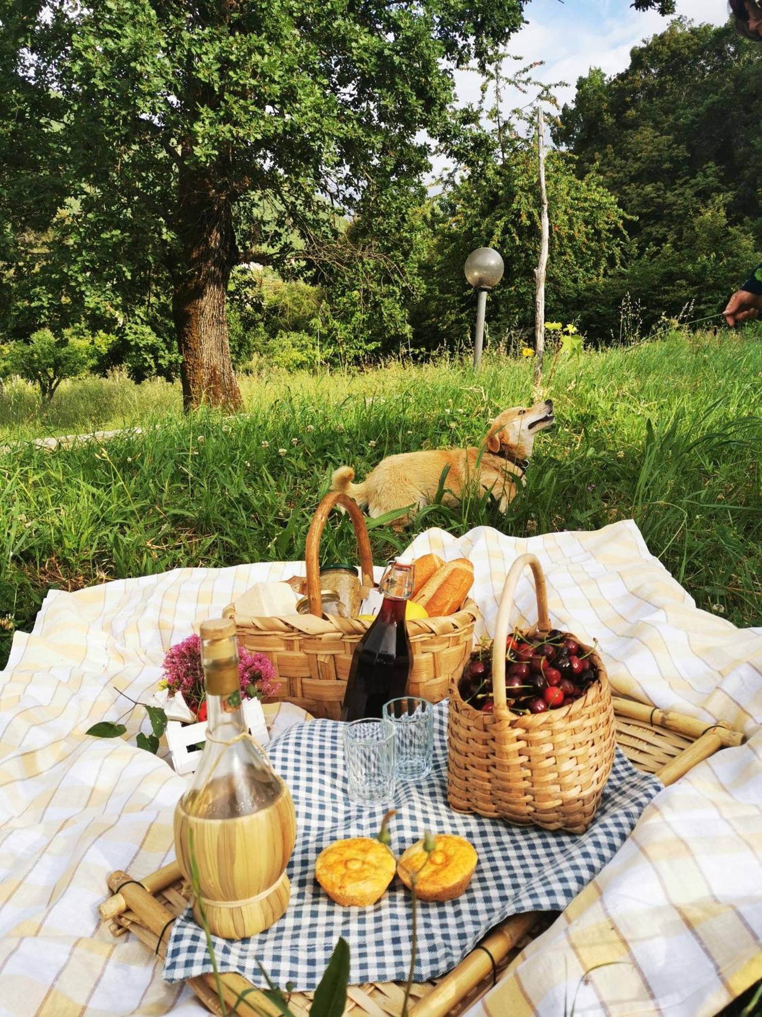 Agriturismo Donna Bianca Mormanno Extérieur photo