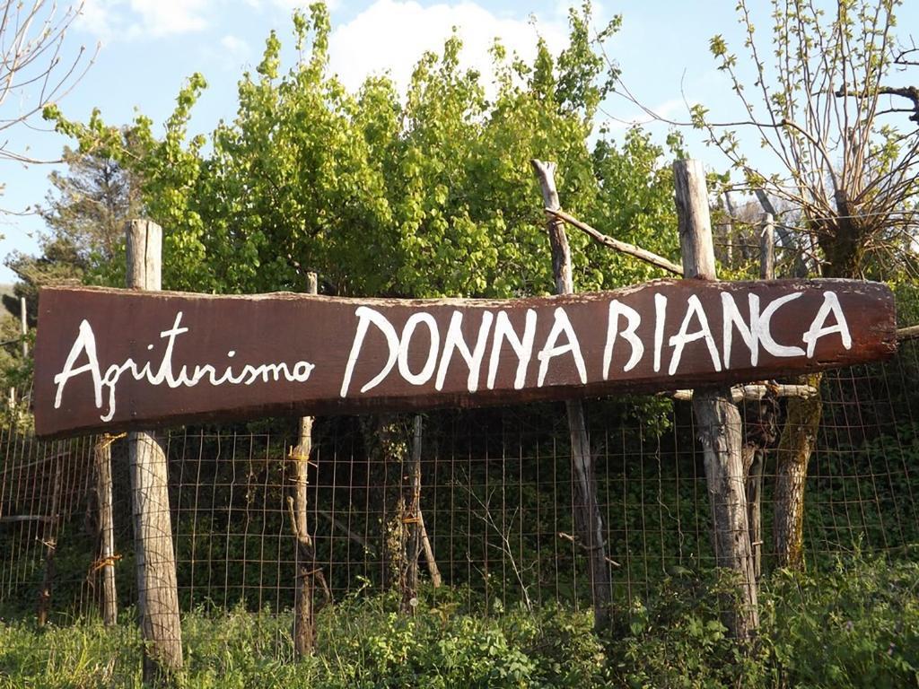 Agriturismo Donna Bianca Mormanno Extérieur photo
