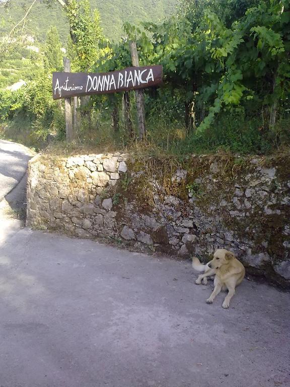 Agriturismo Donna Bianca Mormanno Extérieur photo